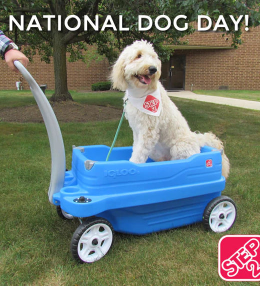 National Dog Day Photo Contest