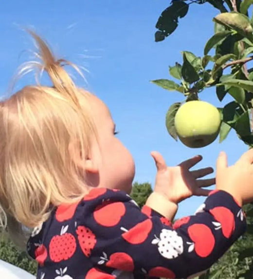 15 Fun Apple Facts to Share with Kids while Picking Apples