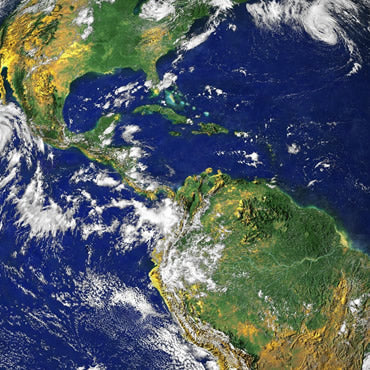 4 Ways Kids Can Help the Earth