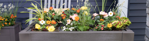 Patio Planter
