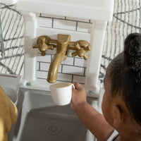 Gilded Gourmet Kitchen gold colored sink faucet.