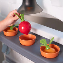 Close-up of child's hand lifting a red radish from one of three terra cotta herb pots on the Garden Fresh Kitchen™ shelf; other pots hold radish and carrot seedlings with pendant lamp above