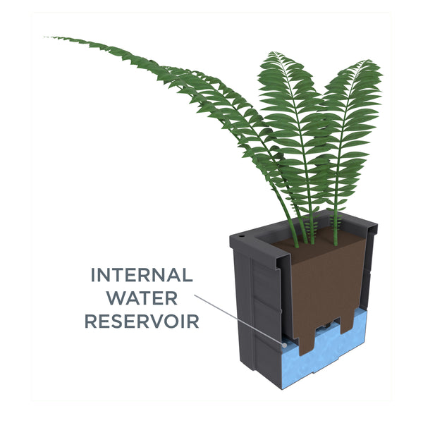Lakewood Planter Box™
