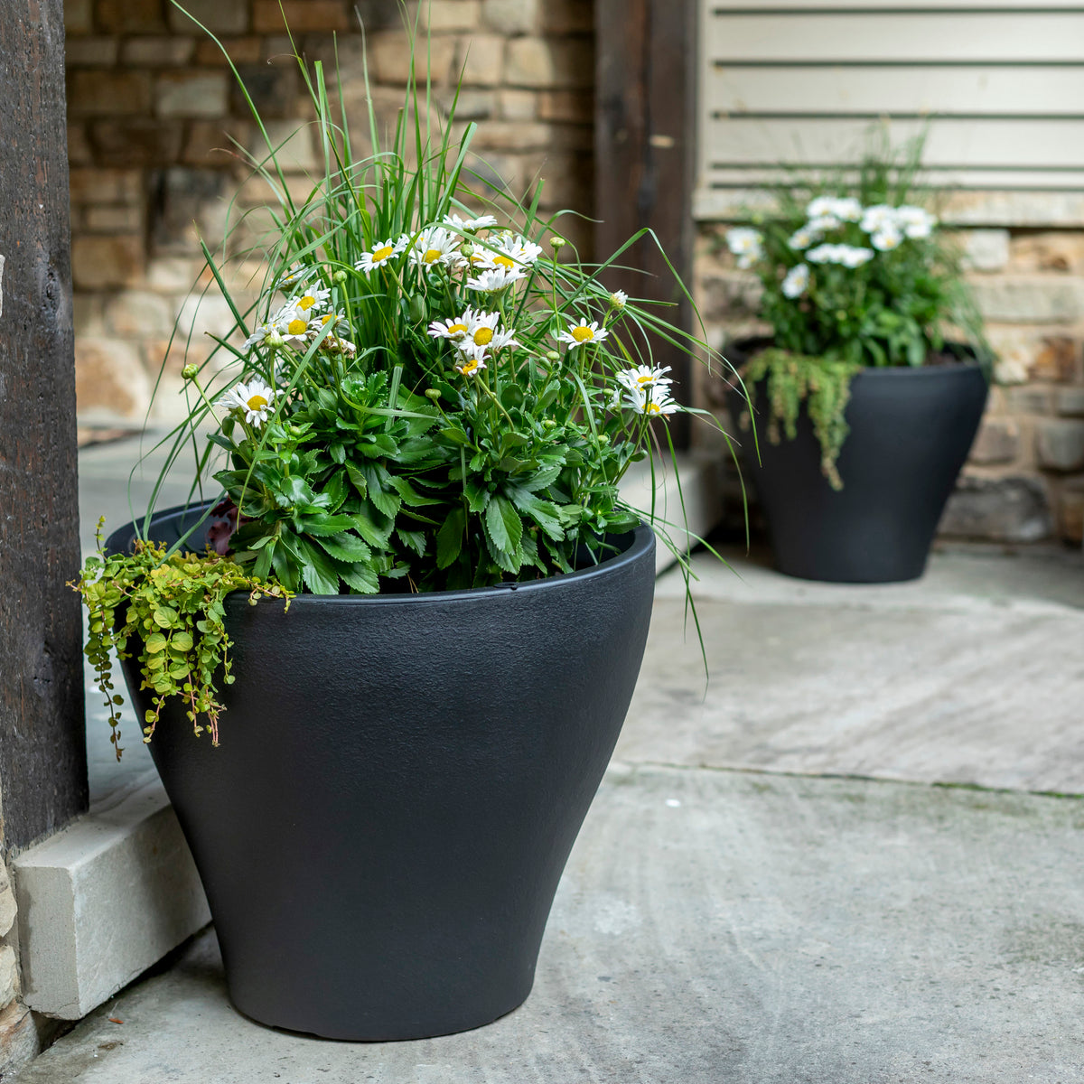 Fernway Planter™ - Onyx Black 2 Pack at entryway