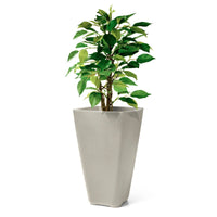 Bridgeview Tall Planter with plant