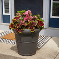 Claremont Planter™ - Dark Cedar with plants