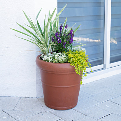 Claremont Planter™ - Terracotta with plants