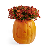 Pumpkin Planter™