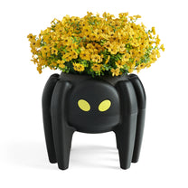 Spooky Spider Planter™