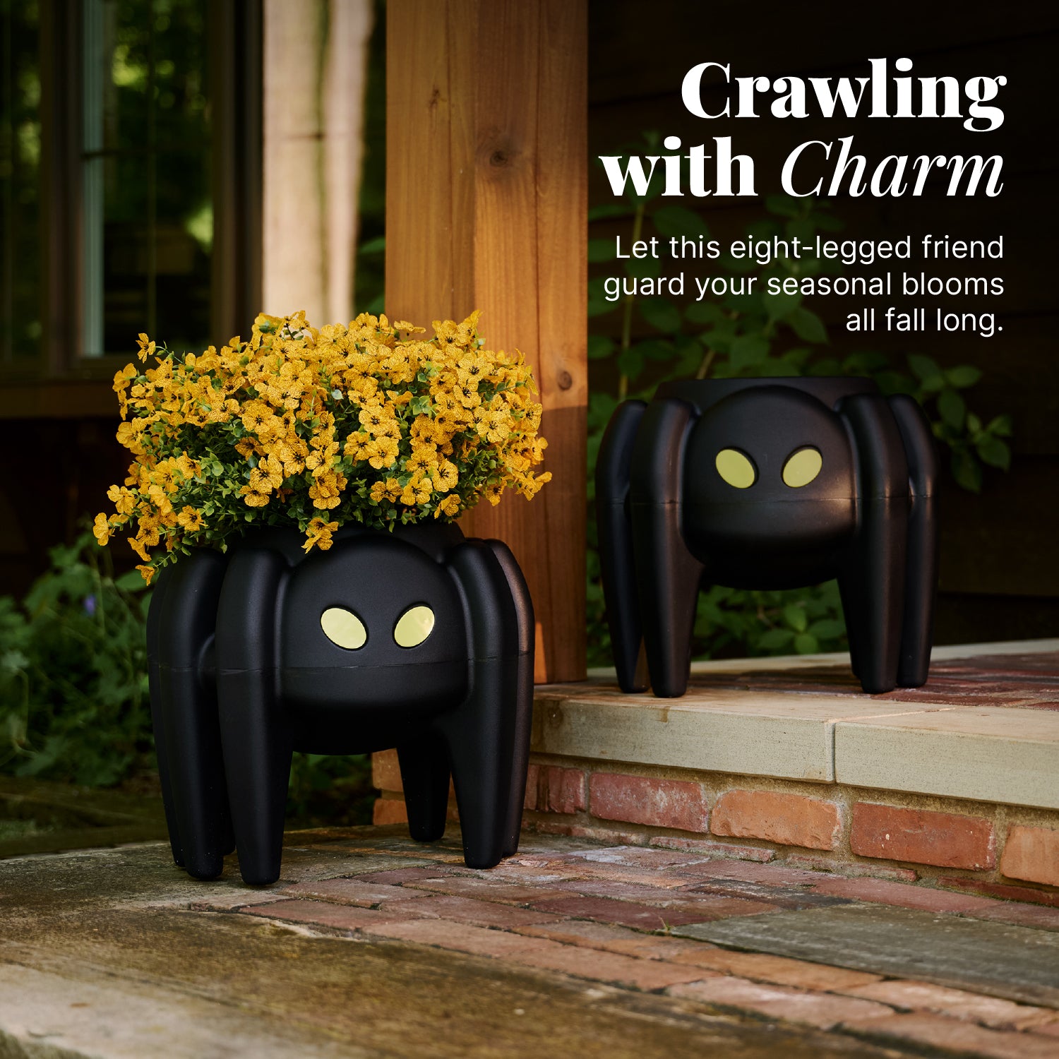Spooky Spider Planter™