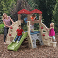 Alpine Ridge Climber & Slide™