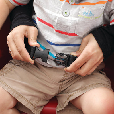 Neighborhood Wagon™ safety belt<br />