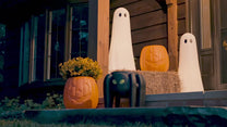 Pumpkin Planter™